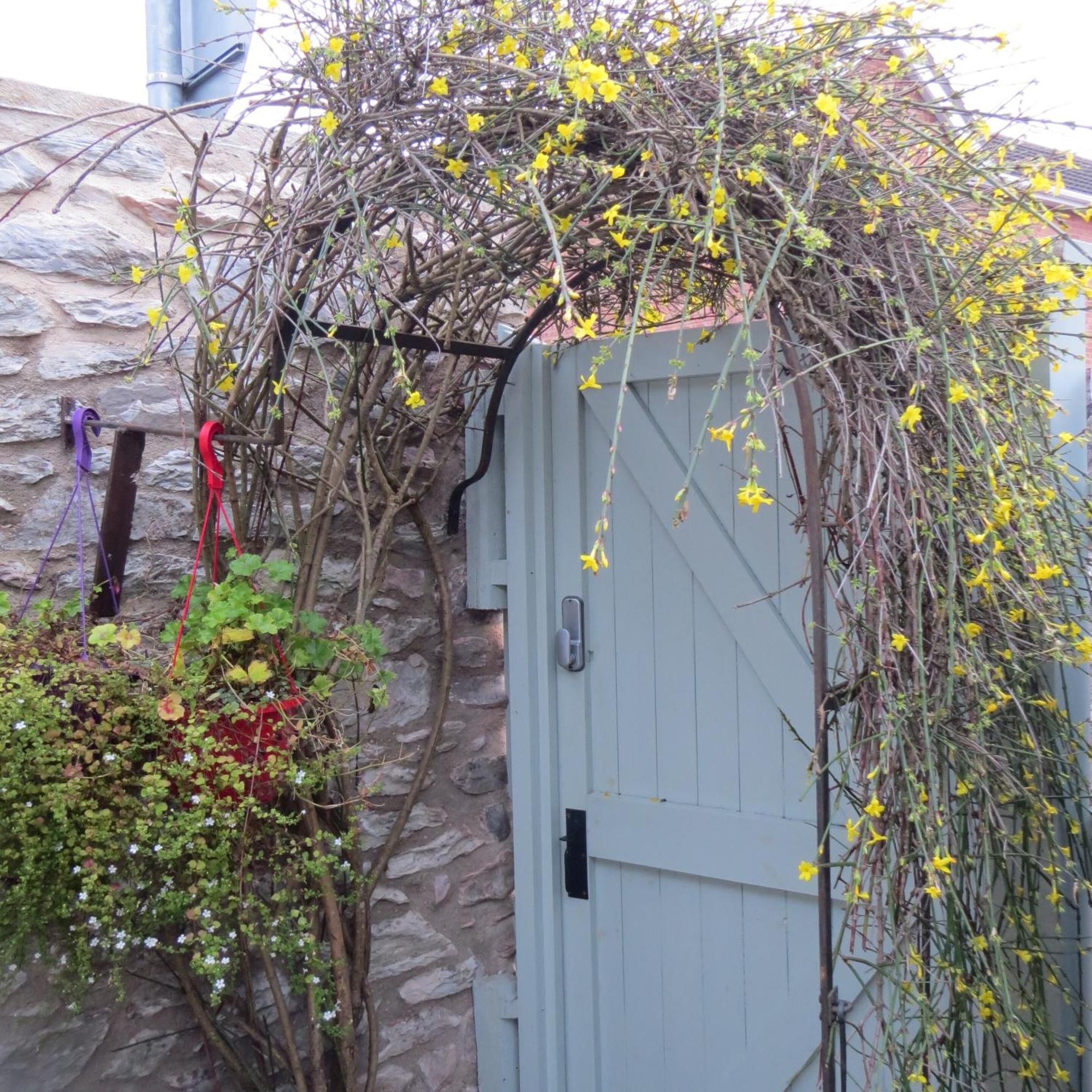 Frog Palace - Secure Parking-Outside Area-Topsham-Exeter-Beach-Chiefs-Wifi Exterior photo